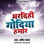 Bhardihi Godiya Hamar