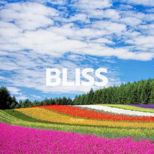 Bliss
