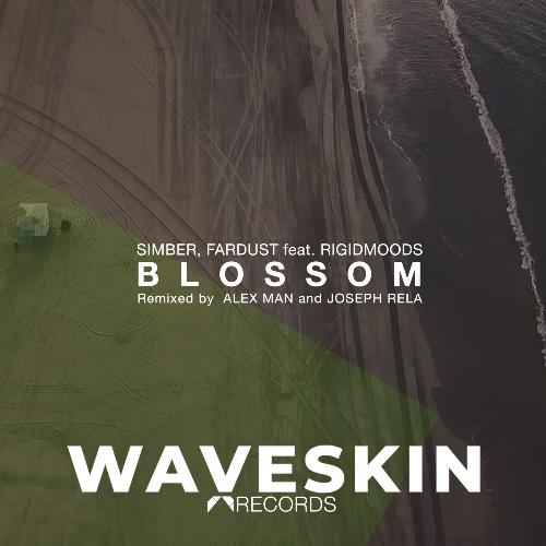 Blossom (The Remixes)