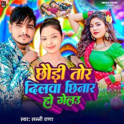 Chhaudi Tor Dilwa Chhinar Ho Gelau