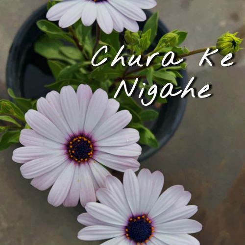 Chura ke Nigahe