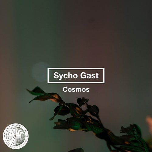 Cosmos