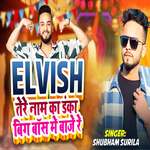 Elvish Tere Naam Ka Danka Big Boss Me Baje Re