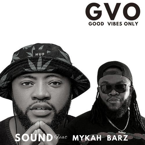 Gvo (Good Vibes Only)_poster_image