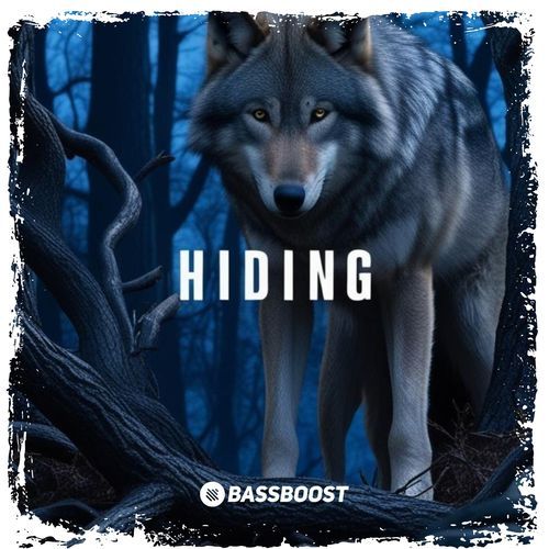 Hiding