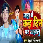 Jara Me Kai Din Par Nahalu