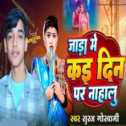 Jara Me Kai Din Par Nahalu