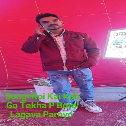 Koi Kai Kah Go Tekha P Botal Lagava Parnyo