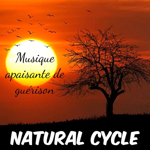 Natural Cycle - Musique apaisante instrumentale de guérison para remèdes naturels équilibre émotionnel chakra yoga avec sons sons relaxants naturels