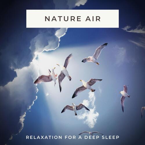 Air Sleeping Sounds cover art