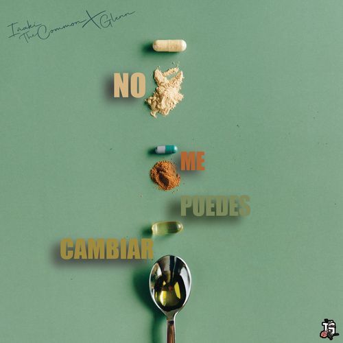 No Me Puedes Cambiar