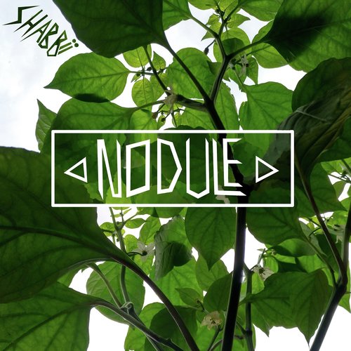 Smokey cover art