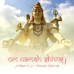 Om Namah Shivay