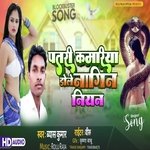 Patari Kamariya Dole Nagin Niyan A Rani Ji
