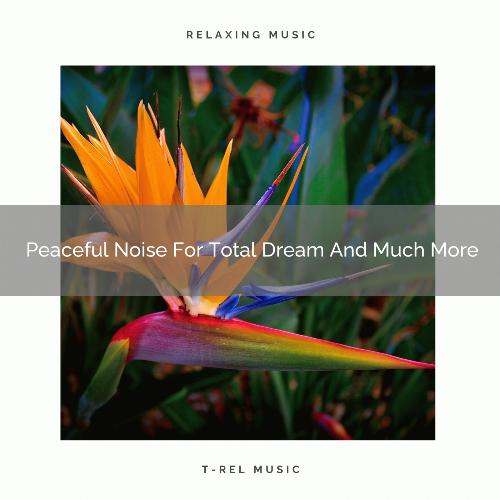 Peaceful Noise For Total Dream And Much More_poster_image