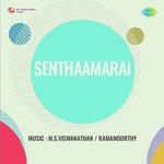 Senthamarai