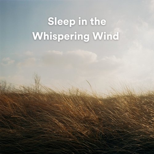 Sleep in the Whispering Wind_poster_image