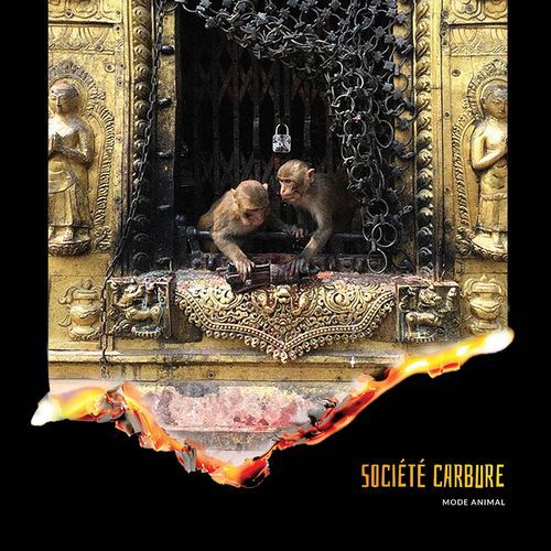 Le vice cover art