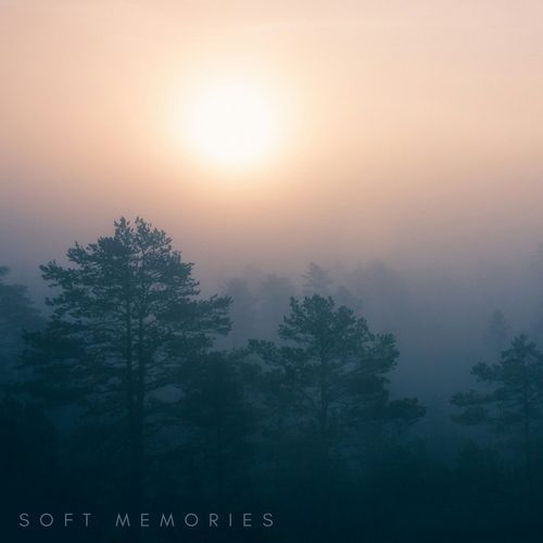 Soft memories