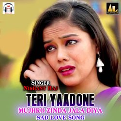 Teri Yaadone Mujhko Zinda Jala Diya-Sad Love Song-FlhaczBkflI