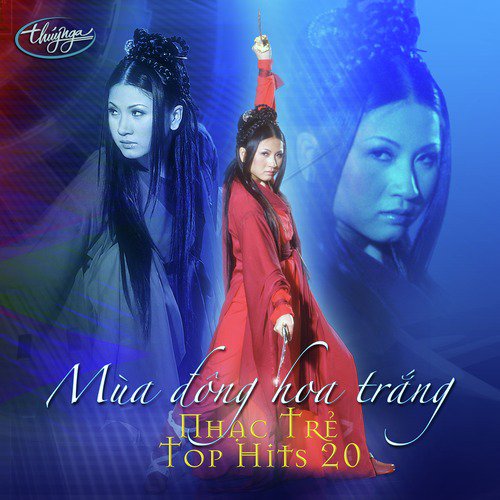 Top Hits 20 - Mùa Đông Hoa Trắng