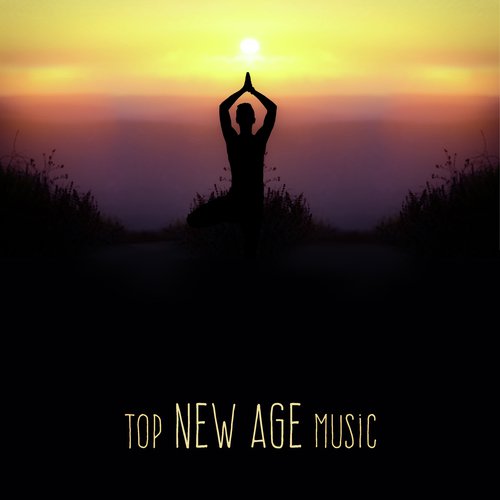 Mindfulness Meditation Universe cover art