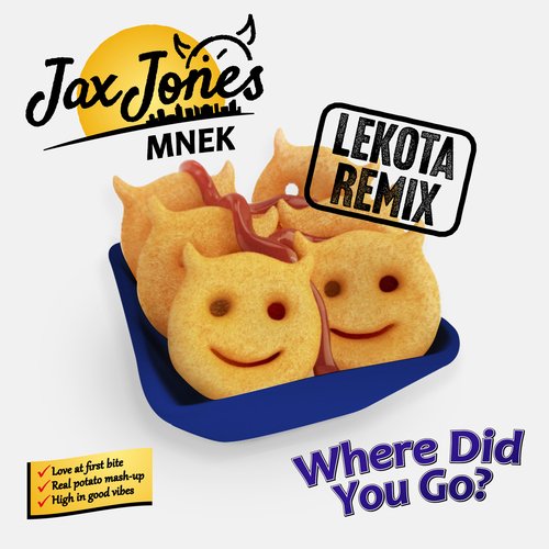 Where Did You Go? (Lekota Remix)_poster_image