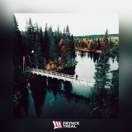 Starlit Serenade cover art