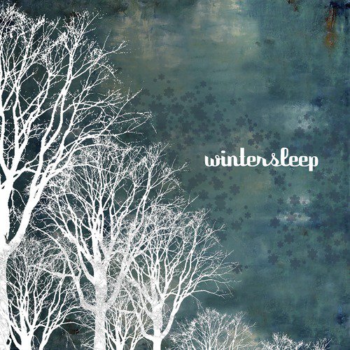 Wind cover art