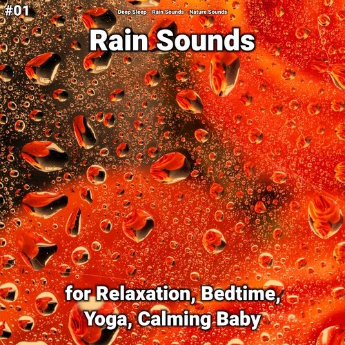Rain Sounds to Fall Asleep cover art