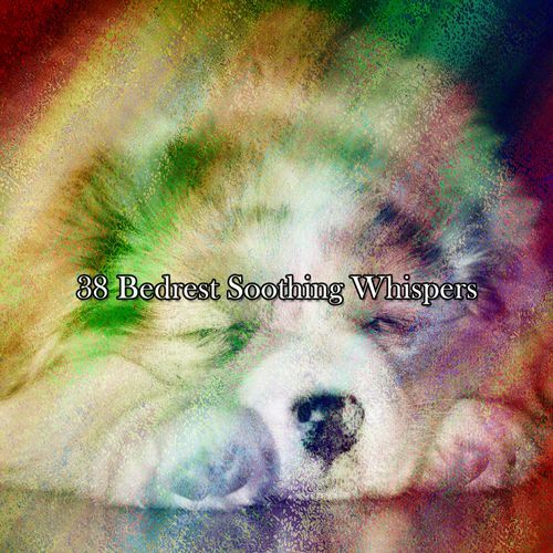 38 Bedrest Soothing Whispers_poster_image