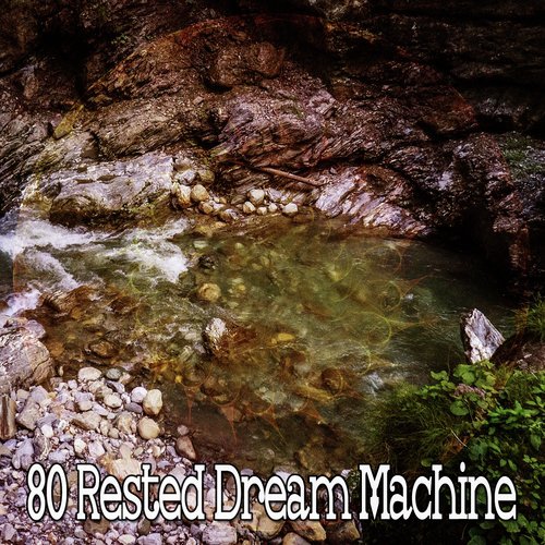 80 Rested Dream Machine