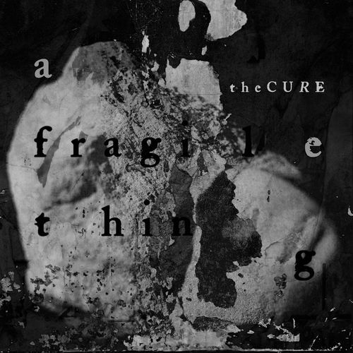 A Fragile Thing_poster_image