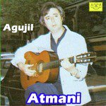 Agujil
