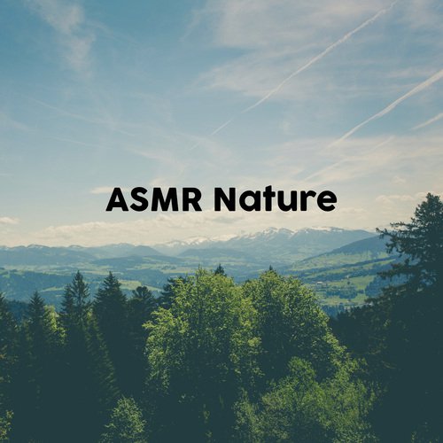 Study Background Noise cover art