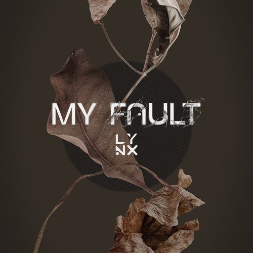 ผิดไปแล้ว (My Fault)_poster_image