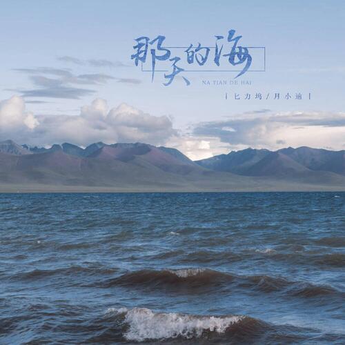 那天的海_poster_image