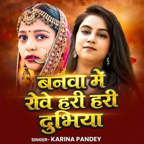 Banawa Me Rowe Hari Hari Dubhiya