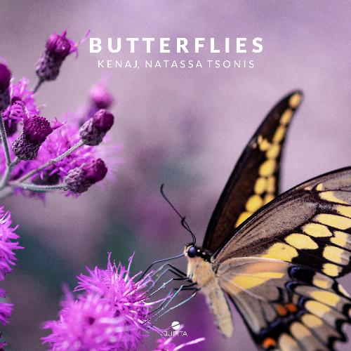 Butterflies_poster_image