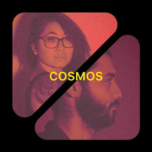Cosmos