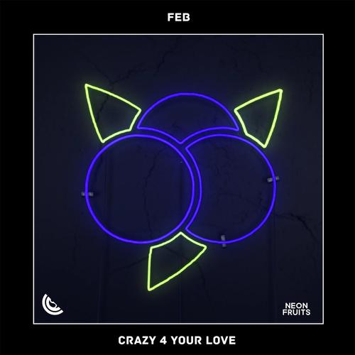 Crazy 4 Your Love_poster_image