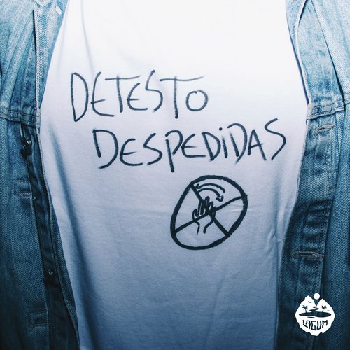 Detesto Despedidas_poster_image