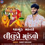 Dj Remix Chamund Maa No Liludo Mandvo