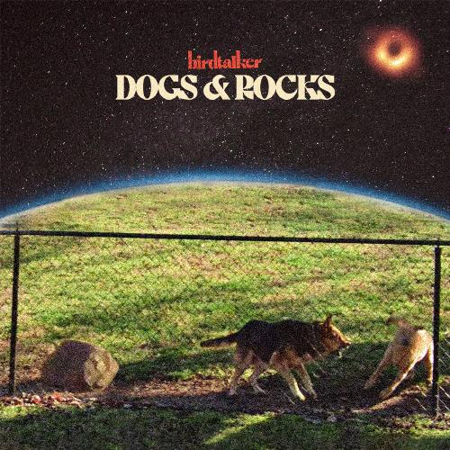 Dogs &amp; Rocks_poster_image