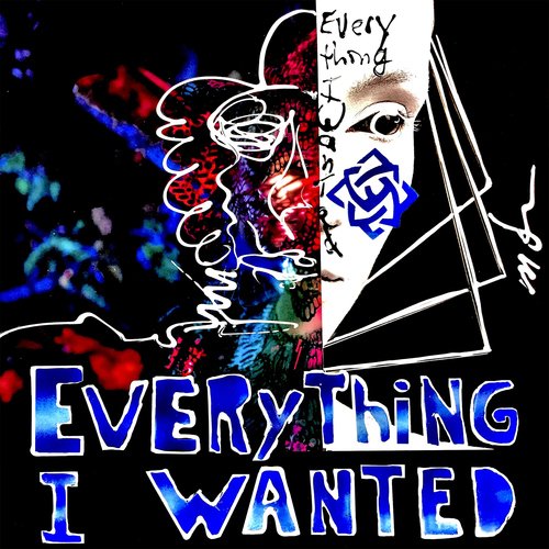 Everything I Wanted (feat. Ni/Co)_poster_image