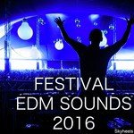 Festival EDM Sounds 2016