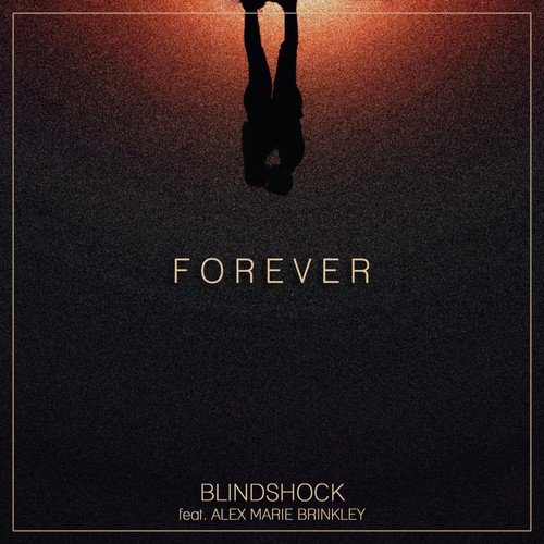 Forever_poster_image