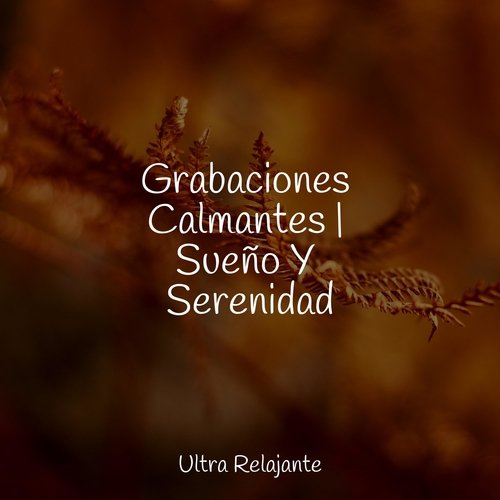 Grabaciones Calmantes | Sueño Y Serenidad