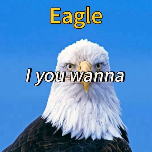 If You Wanna