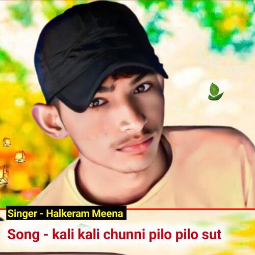 Kali kali chunni pilo pilo sut